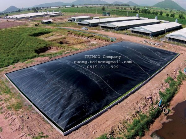 Giải pháp xử lý nước thải chăn nuôi bằng hầm Biogas HDPE